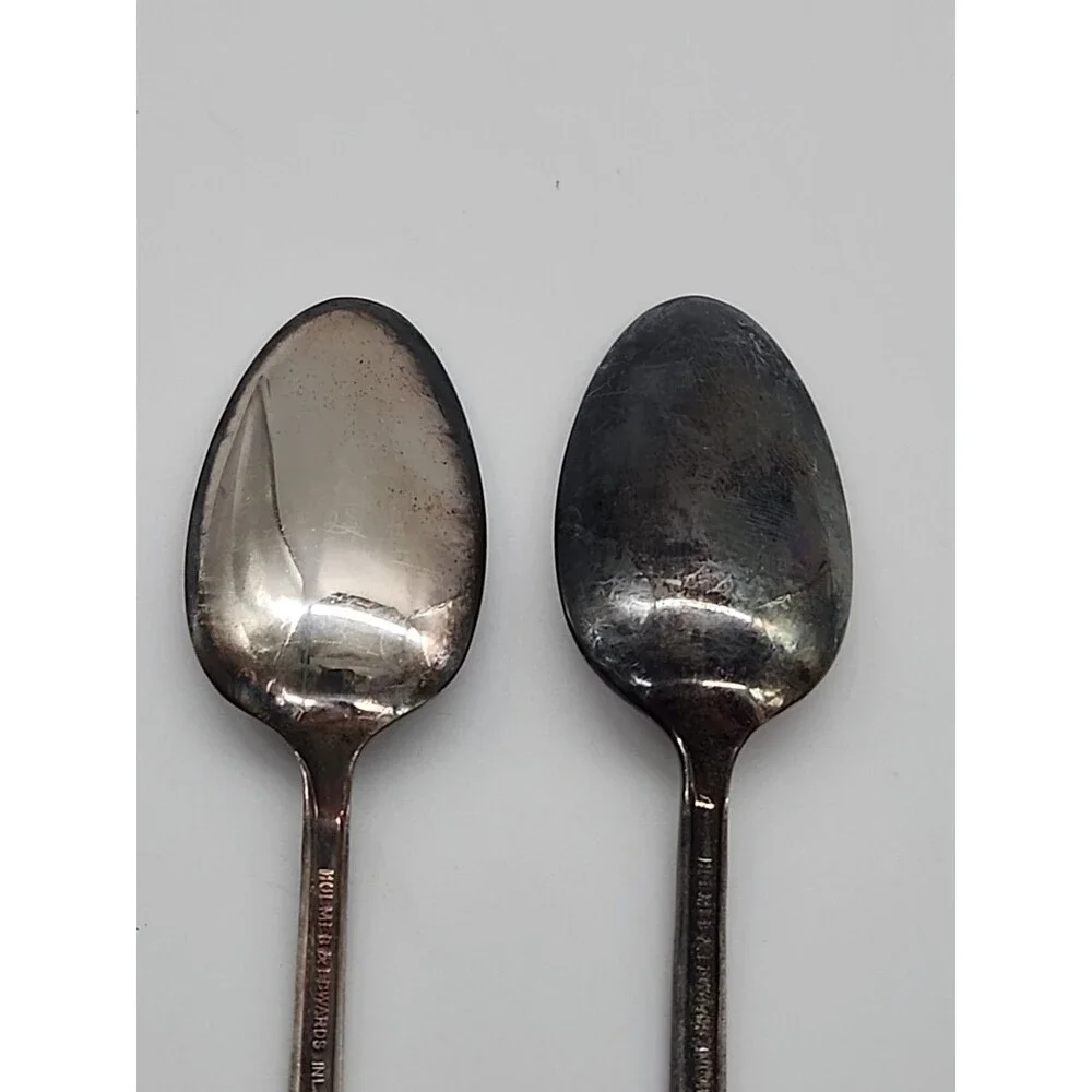 HOLMES & EDWARDS INLAID (IS) SPRING GARDEN ROUND Tea Spoons Replacement